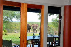 Bed in the Bush - Tingala Lodge